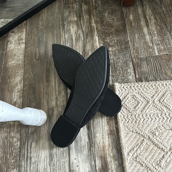 Brand New Birdies - Picture 2 of 3